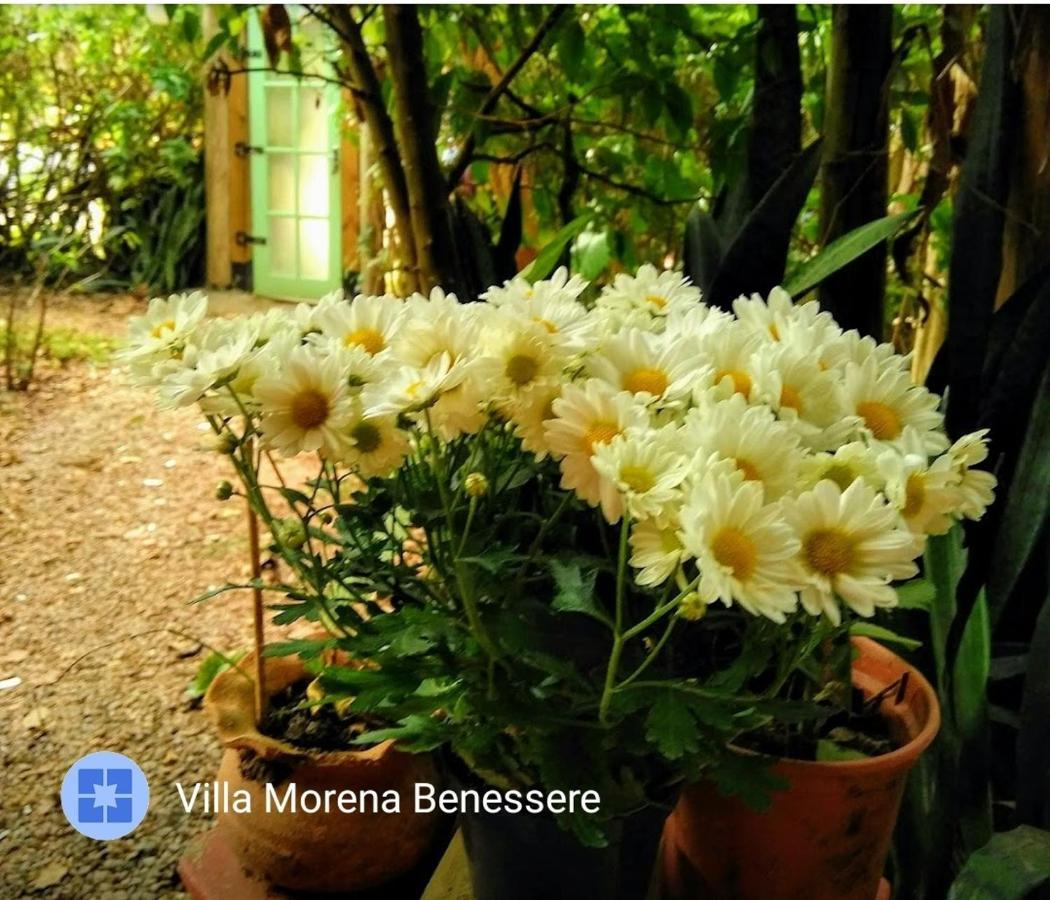 Villa Morena Benessere Флоріанополіс Екстер'єр фото